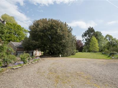Picture 20